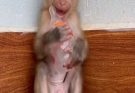 Look, Baby Is So Scared: Crying So Loudly in Fear