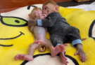 Warmly care cute babies monkeys